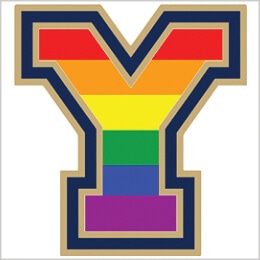 Young Carers’ Groups