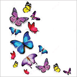 Social Butterflies